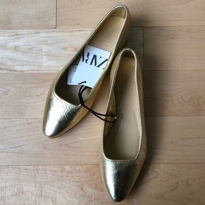 Zara Ballerina Shoes